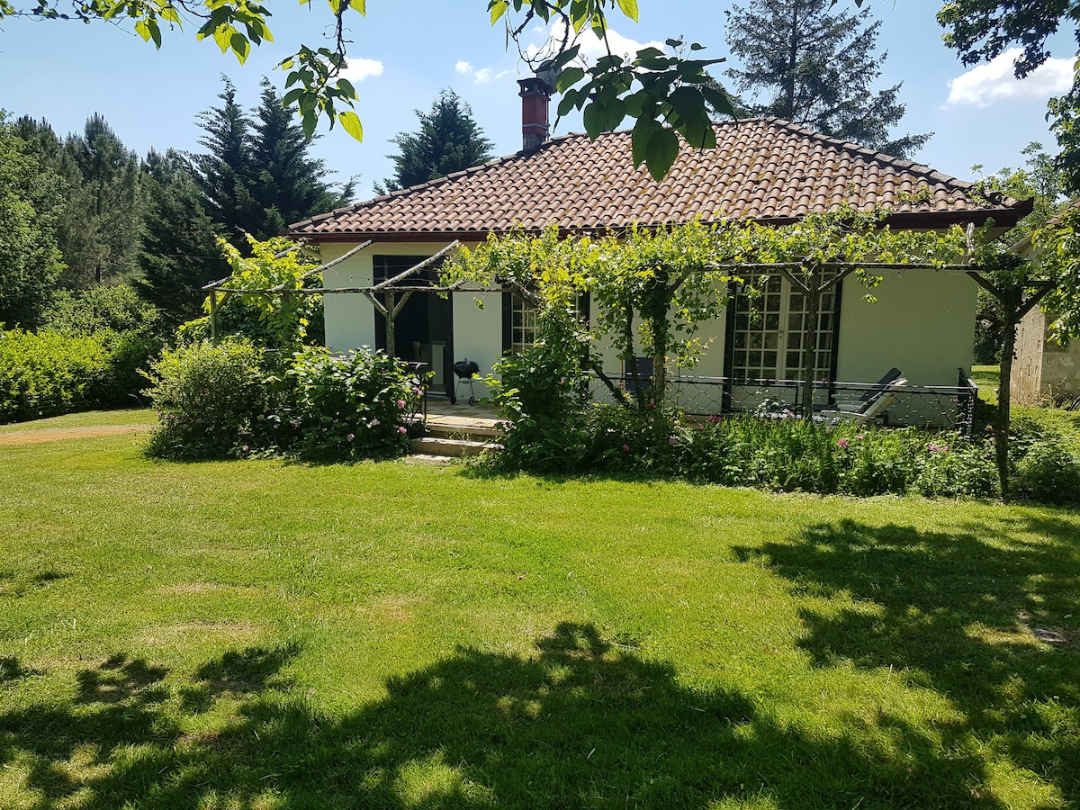 A single-story house is framed by lush greenery, featuring a tiled roof and large windows. A shaded terrace is supported by climbing plants, providing an inviting entryway. The surrounding lawn is well-maintained, with trees offering additional shade and enhancing the serene setting.