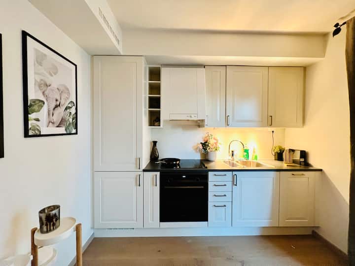 Cozy Studio Apartment With Small Balcony - Oslo
