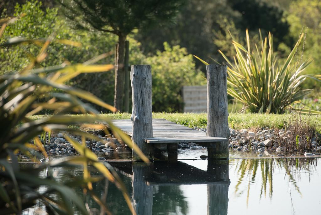 A wooden dock extends over calm waters, surrounded by lush greenery. Reeds and plants frame the scene, while reflections of the dock are visible in the serene pond. A sense of tranquility is portrayed in this natural setting.