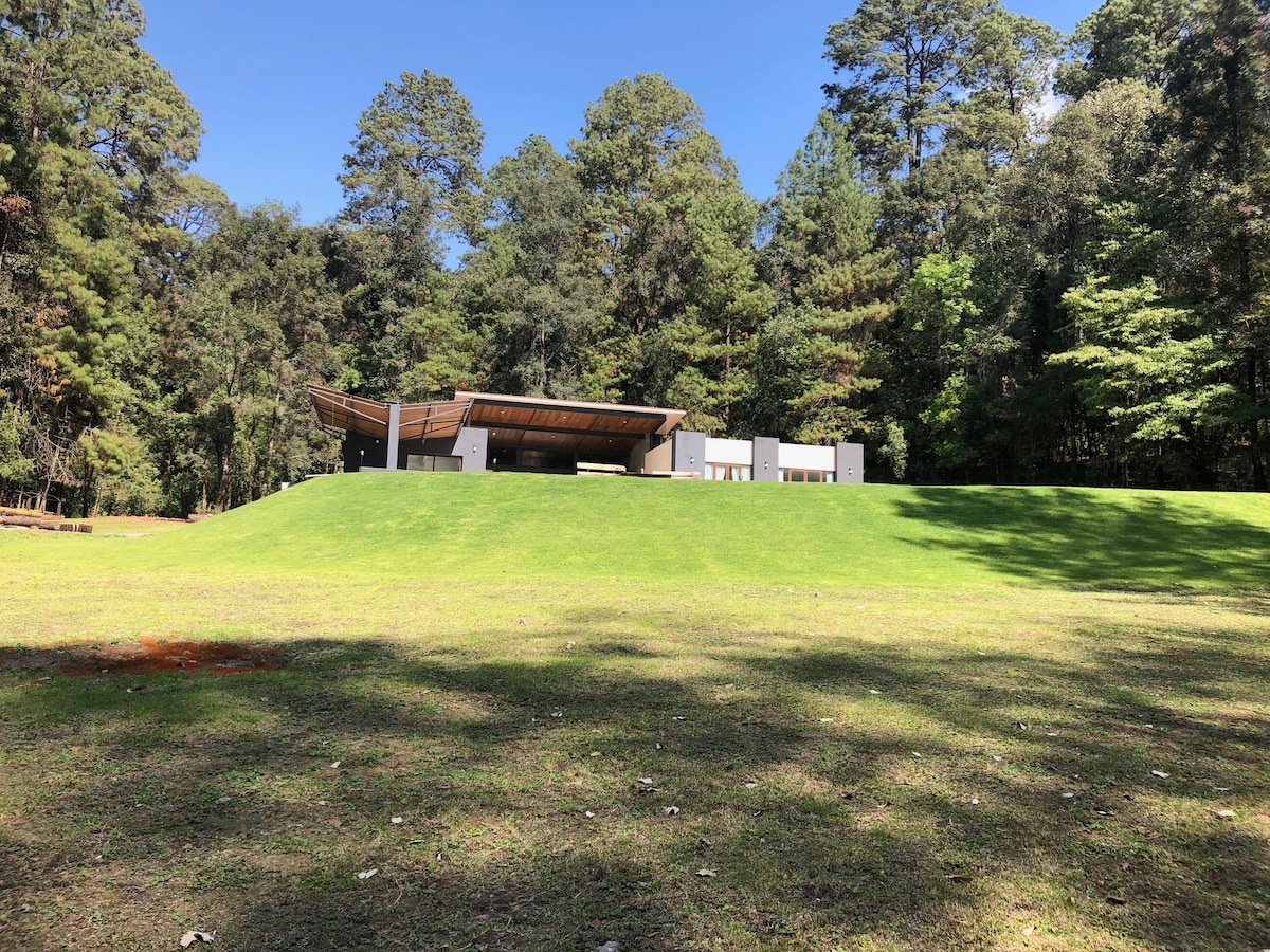 A modern house with a sleek design is nestled among tall trees, set against a clear blue sky. The spacious lawn in front of the house is neatly maintained, offering an inviting open area surrounded by natural greenery.
