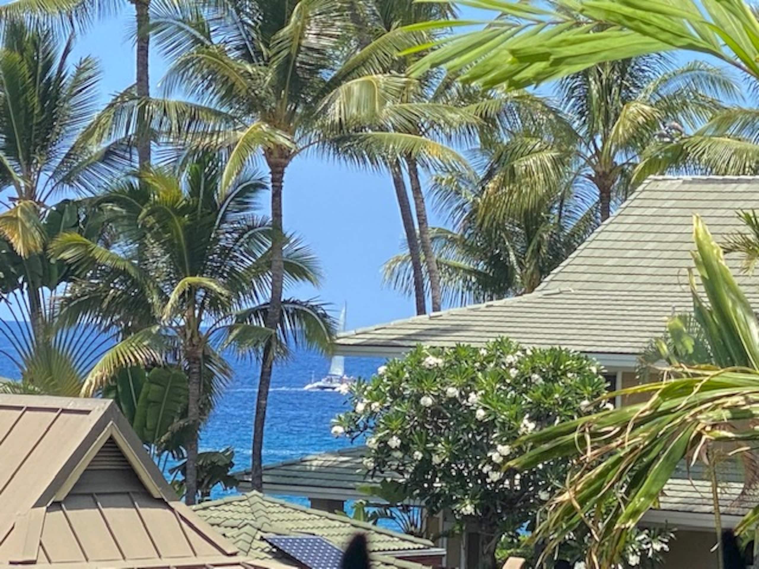 Home in Kailua-Kona · ★5.0 · 3 bedrooms · 3 beds · 3 baths - Image 14