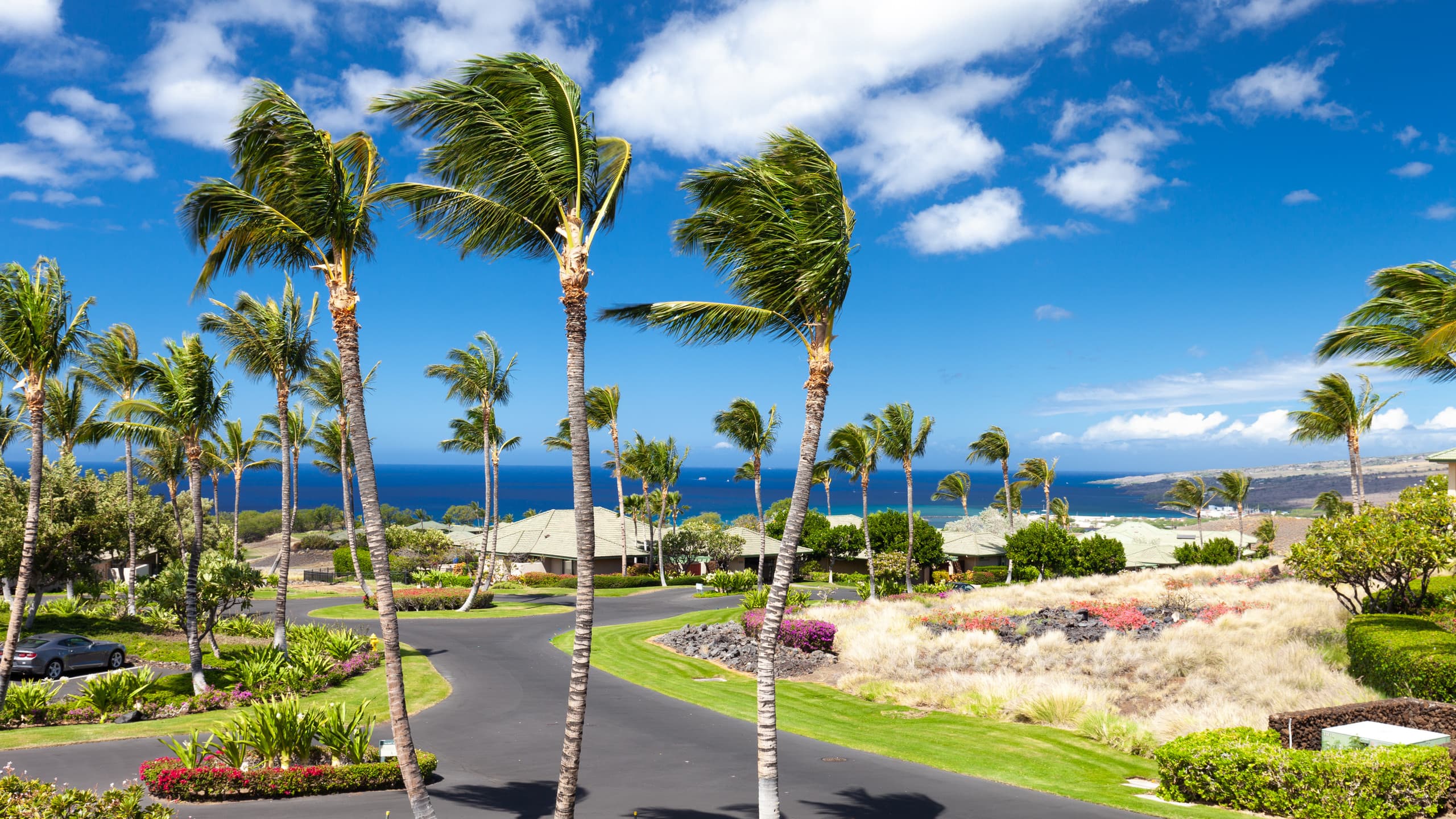 Condo in Waimea · ★4.94 · 3 bedrooms · 5 beds · 3 baths - Image 35