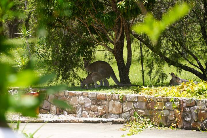 Serenity, Sprawling Home Surrounded By Acreage gallery image 4