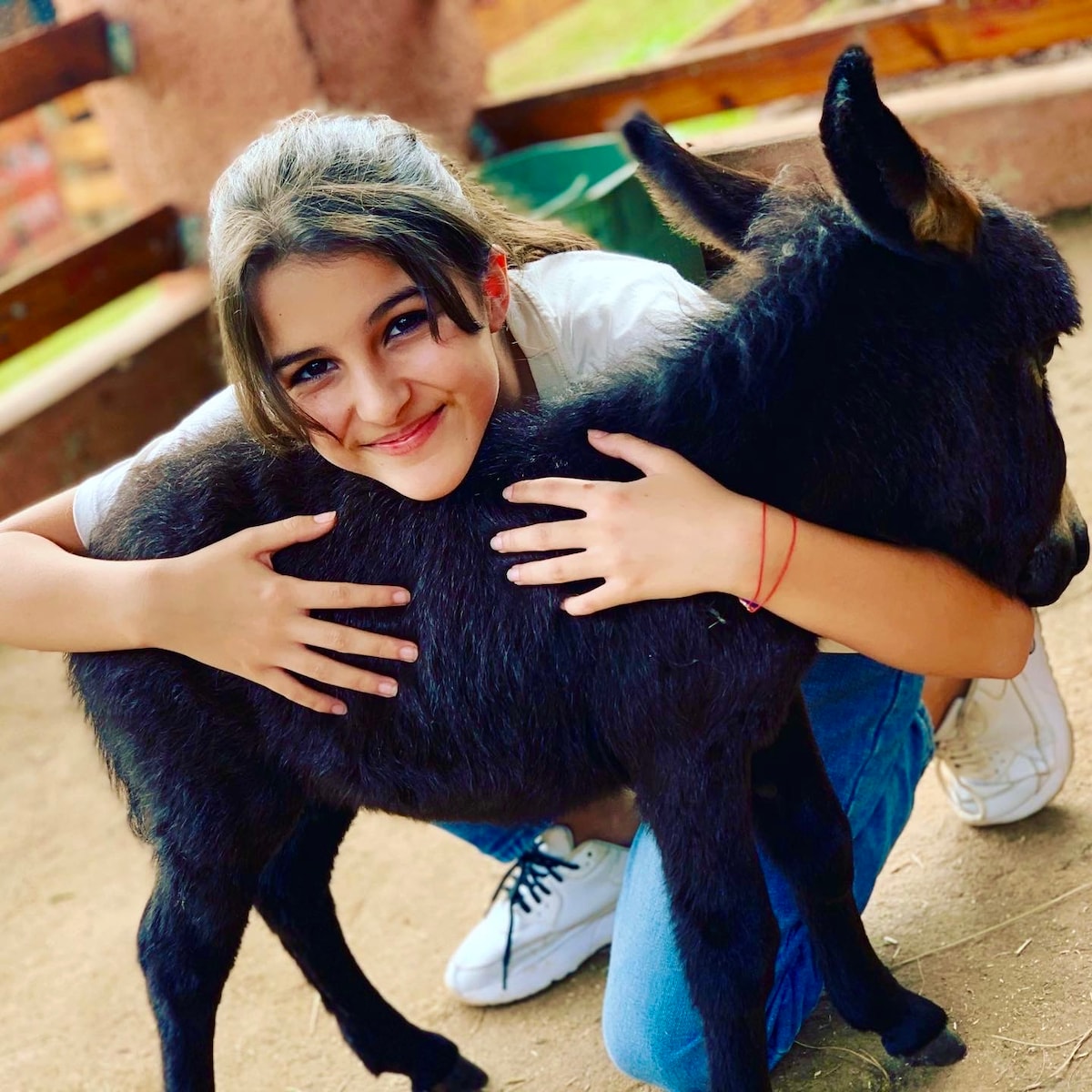 A young person is gently hugging a small donkey, showcasing a connection with the friendly farm animal. The donkey's soft fur and distinctive ears are highlighted against a rustic background, creating a warm and engaging atmosphere.