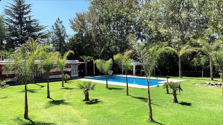 Hostel Lemon Tree - Argentina