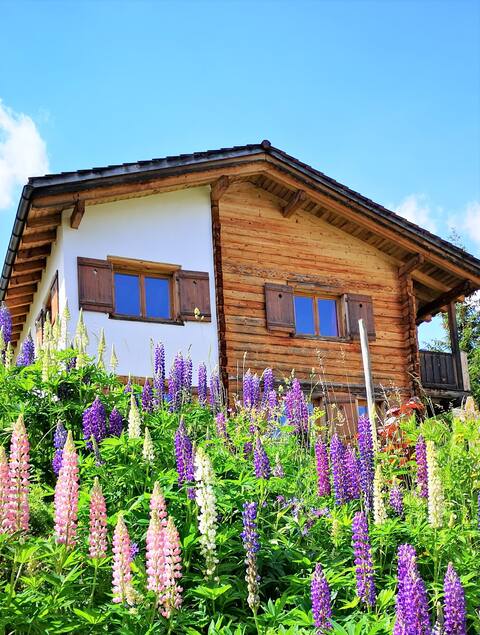 Large vacation home with sauna in the Obersaxen ski resort