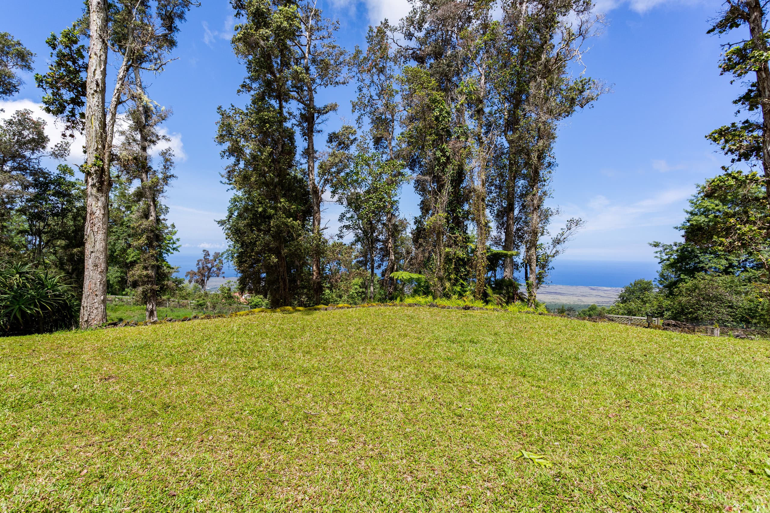 Cozy cloud forest Ohana - Image 14