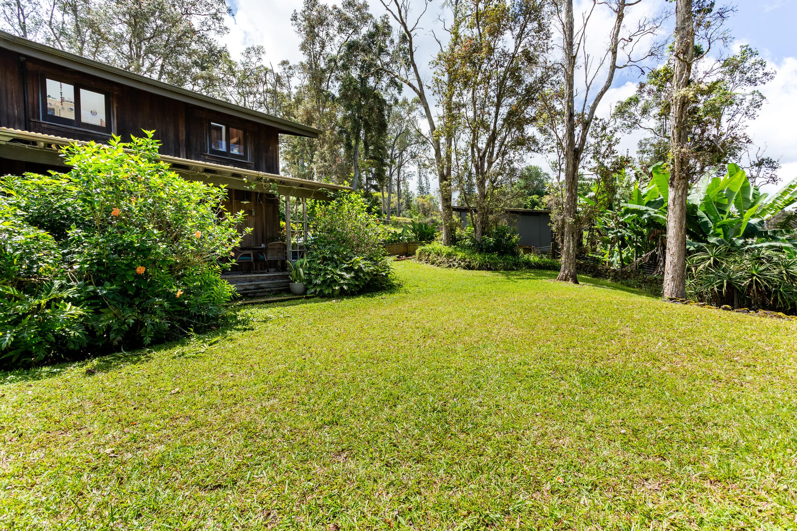 Cozy cloud forest Ohana - Image 20