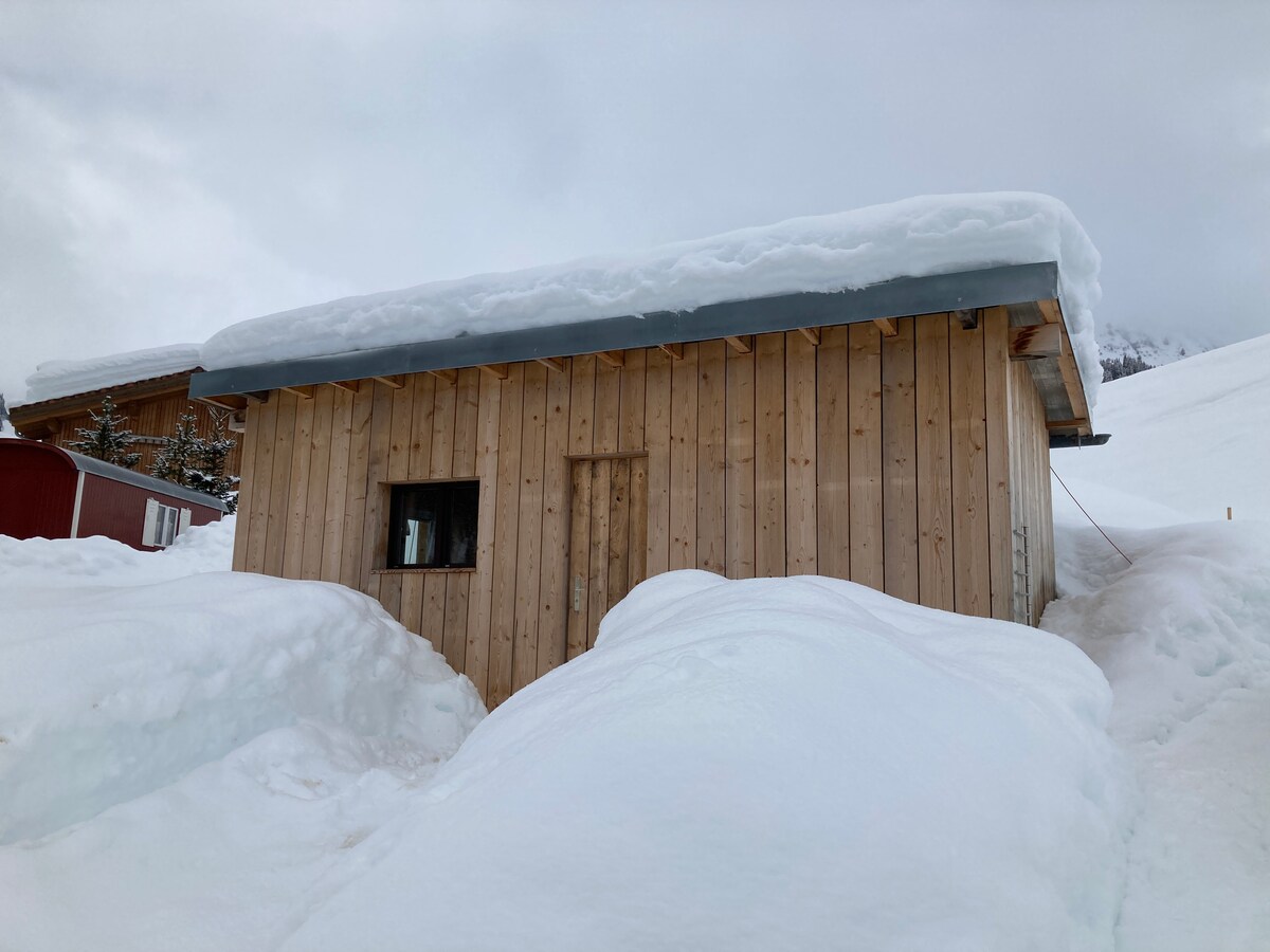 A snow-covered tiny home is nestled among white drifts, showcasing a wooden exterior with natural tones. The cabin features a small window, offering a glimpse of the interior, and a wooden door is positioned prominently at the front.