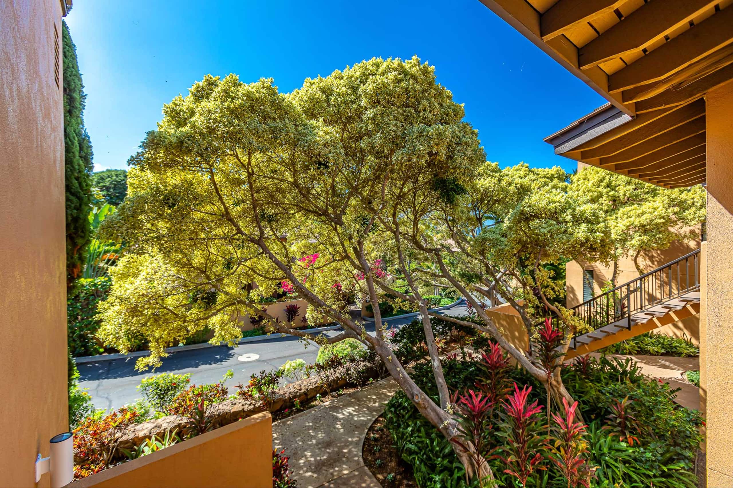 Condo in Kihei · ★4.96 · 1 bedroom · 2 beds · 1 bath - Image 17