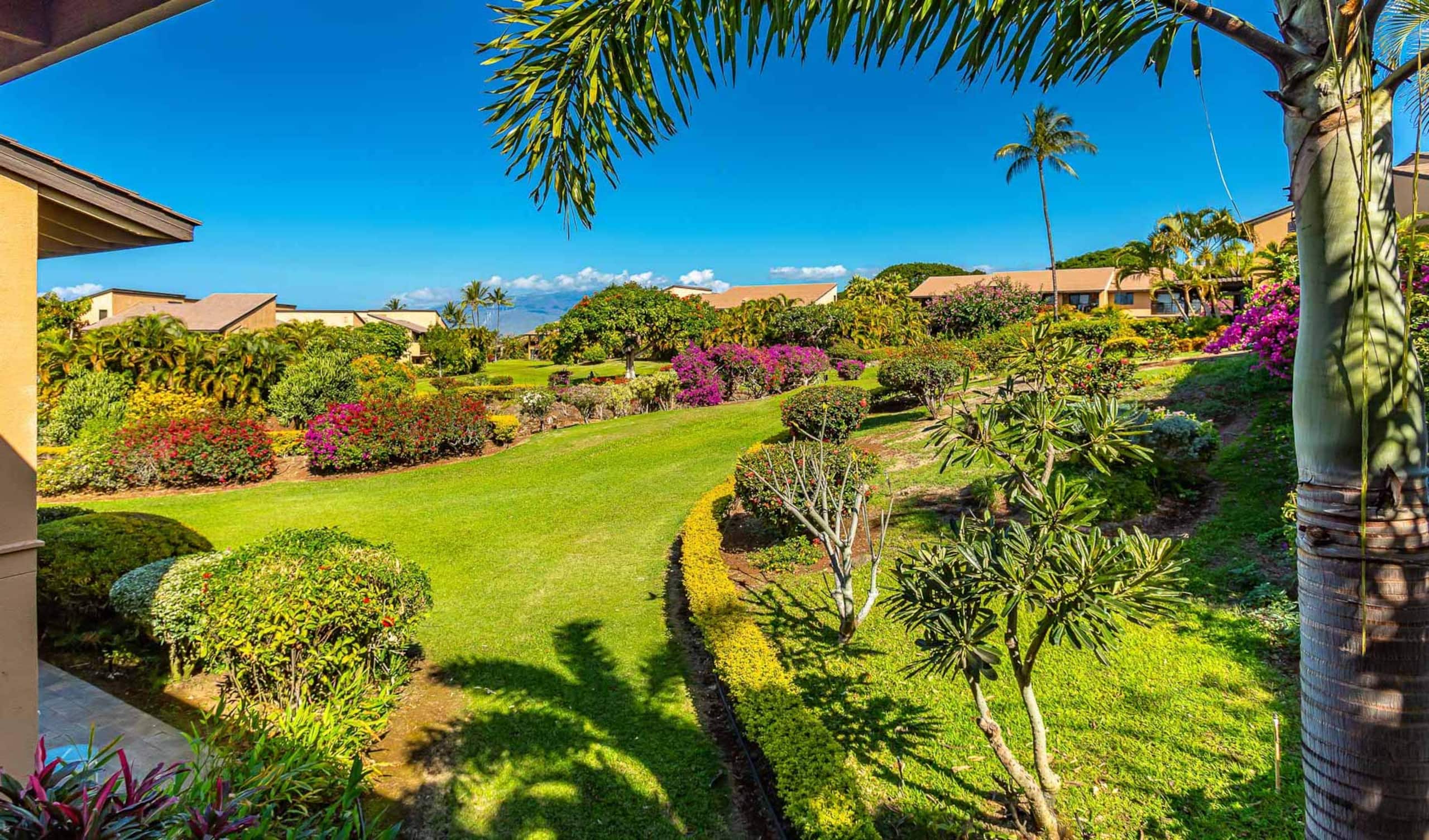 Condo in Kihei · ★4.96 · 1 bedroom · 2 beds · 1 bath - Image 1