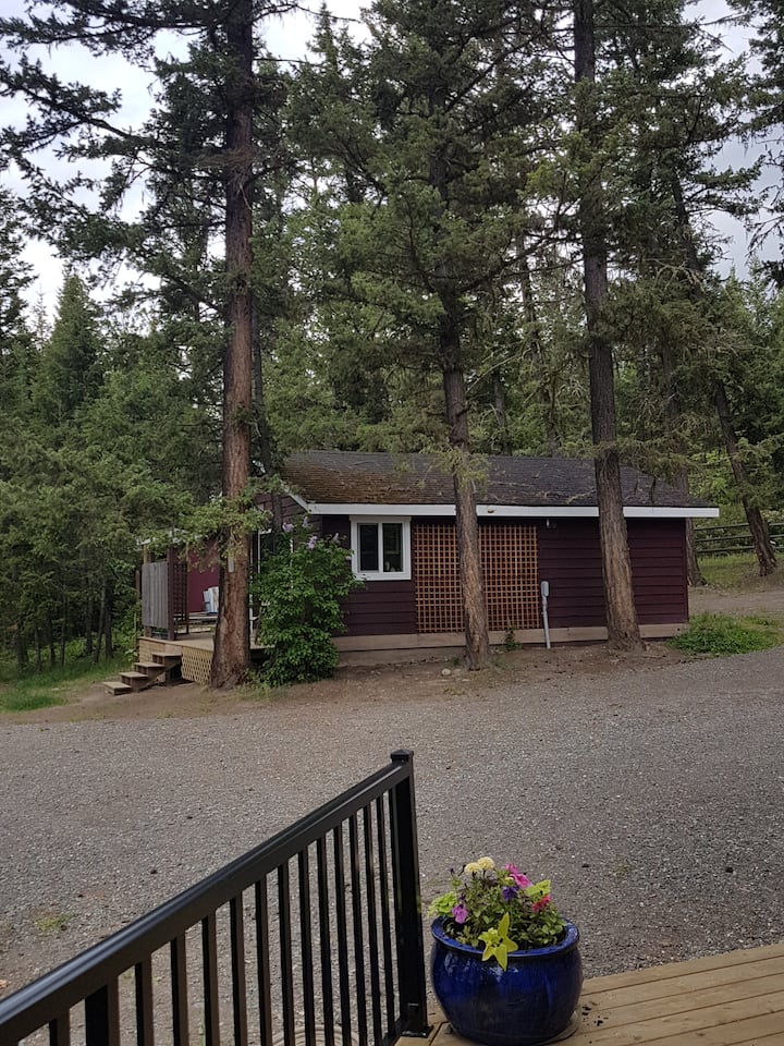 Lac la Hache Vacation Rentals & Homes British Columbia, Canada Airbnb