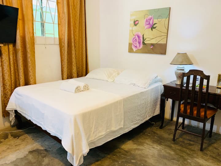 Kingston House Rentals Homes and More Airbnb