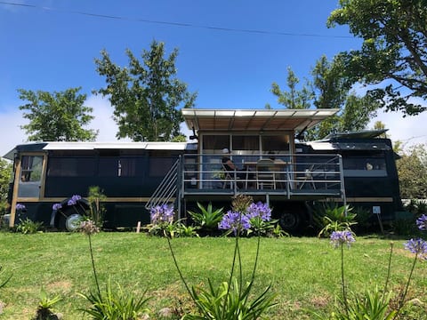 CABI-BUS FOR FAMILIES