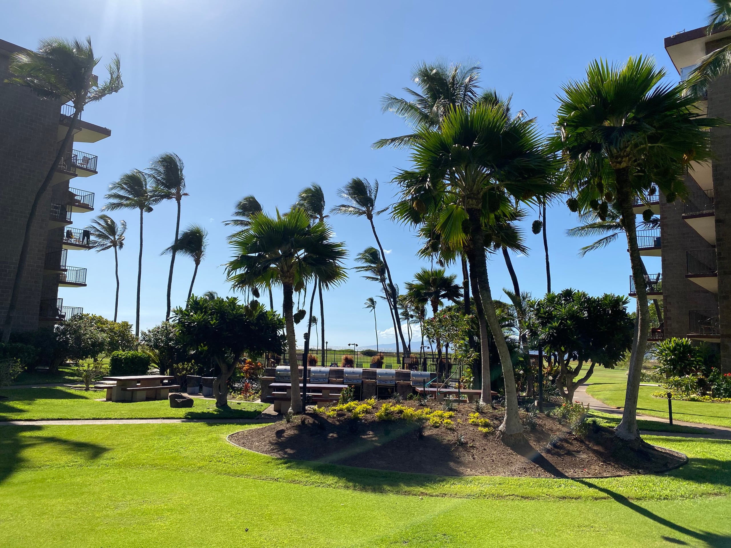 Condo in Kihei · ★4.82 · Studio · 1 bed · 1 private bath - Image 31