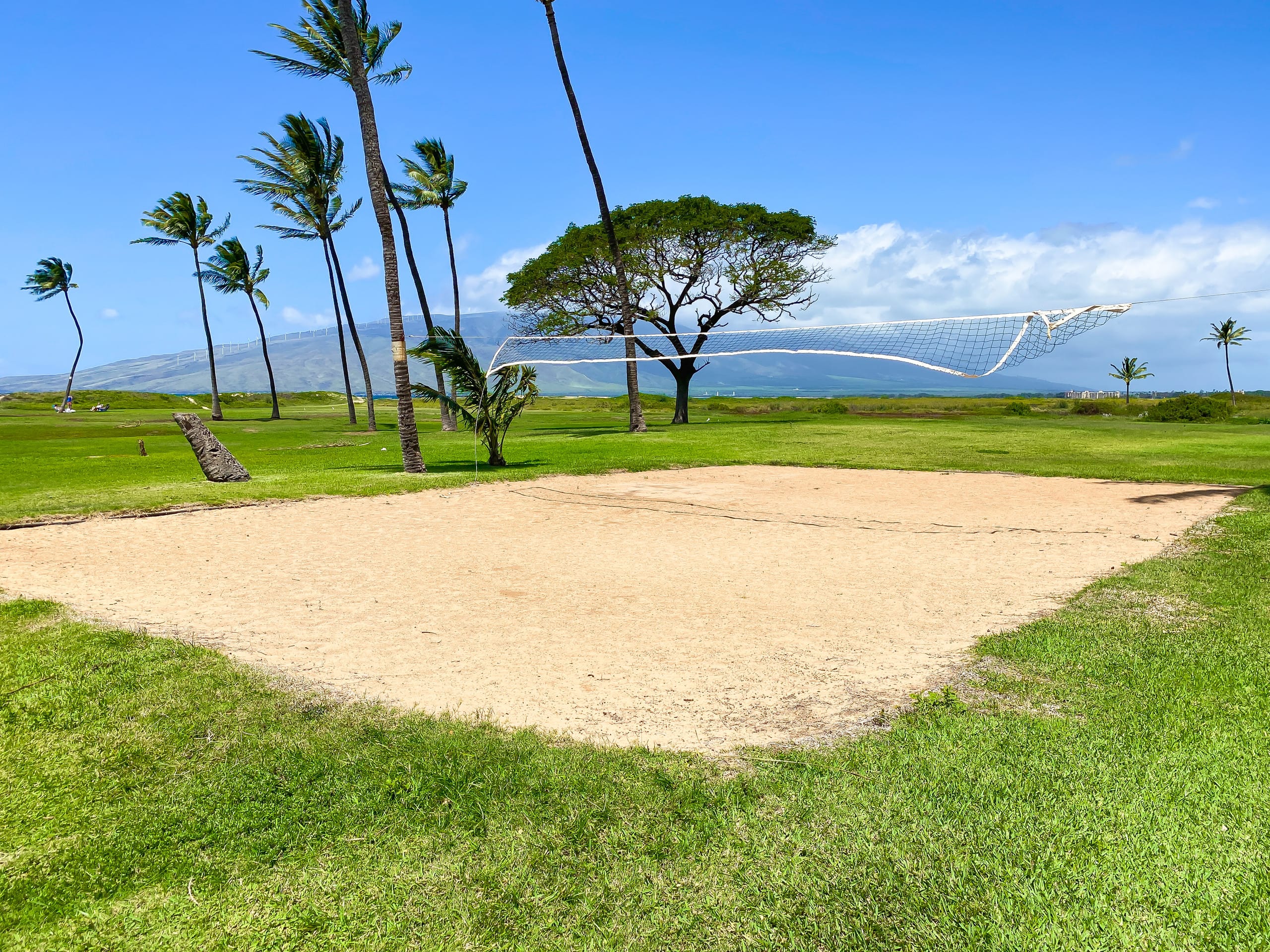 Condo in Kihei · ★4.82 · Studio · 1 bed · 1 private bath - Image 36