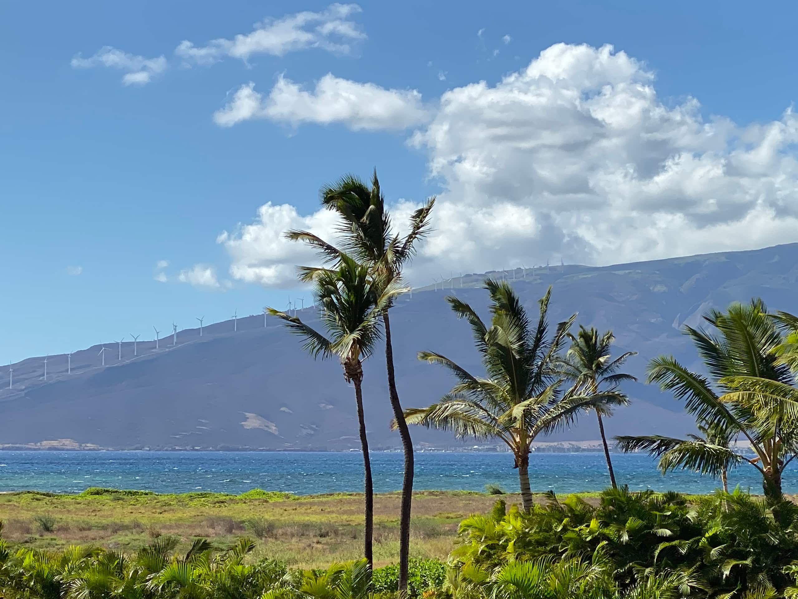 Condo in Kihei · ★4.82 · Studio · 1 bed · 1 private bath - Image 27