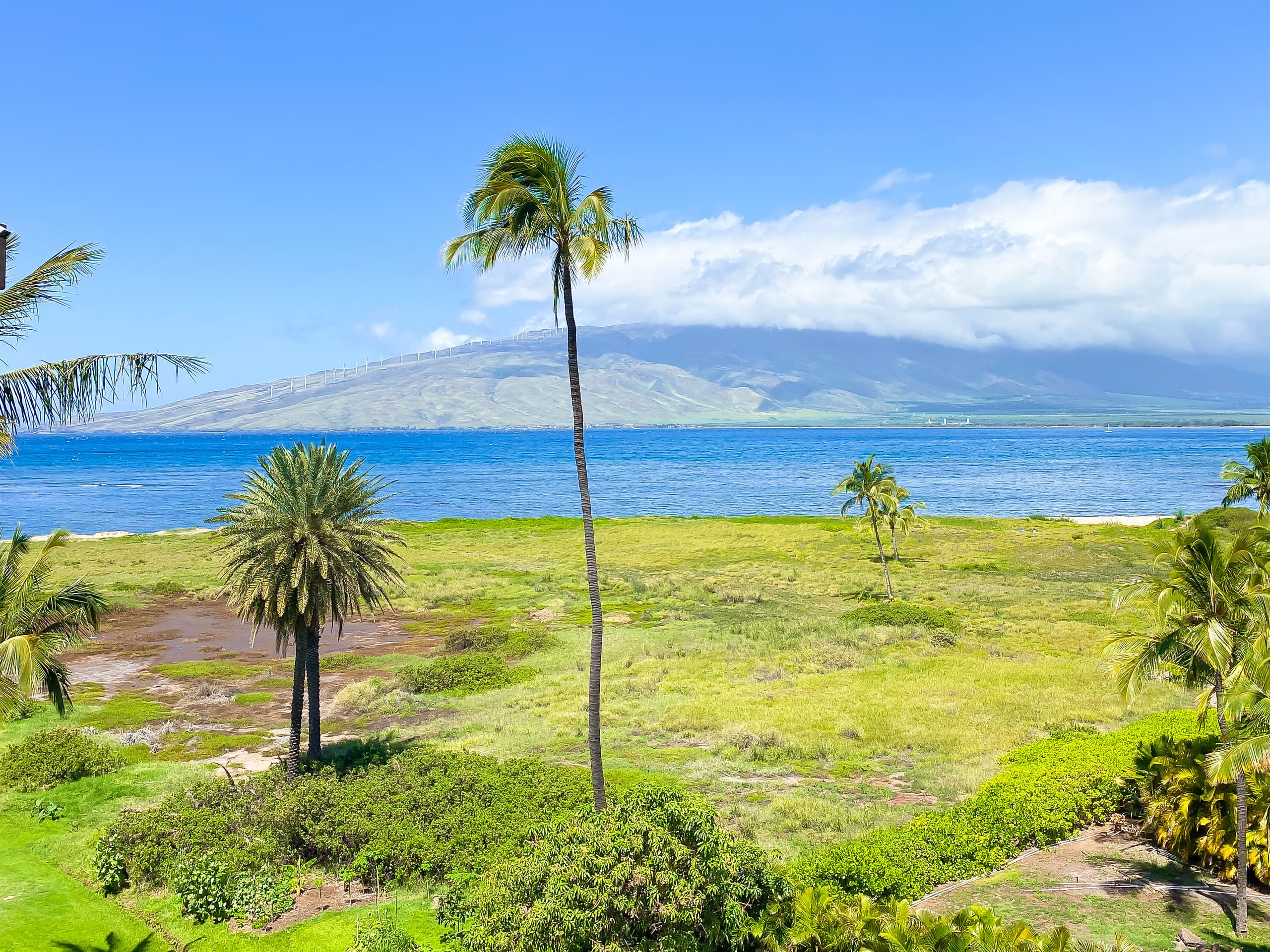 Condo in Kihei · ★4.82 · Studio · 1 bed · 1 private bath - Image 29