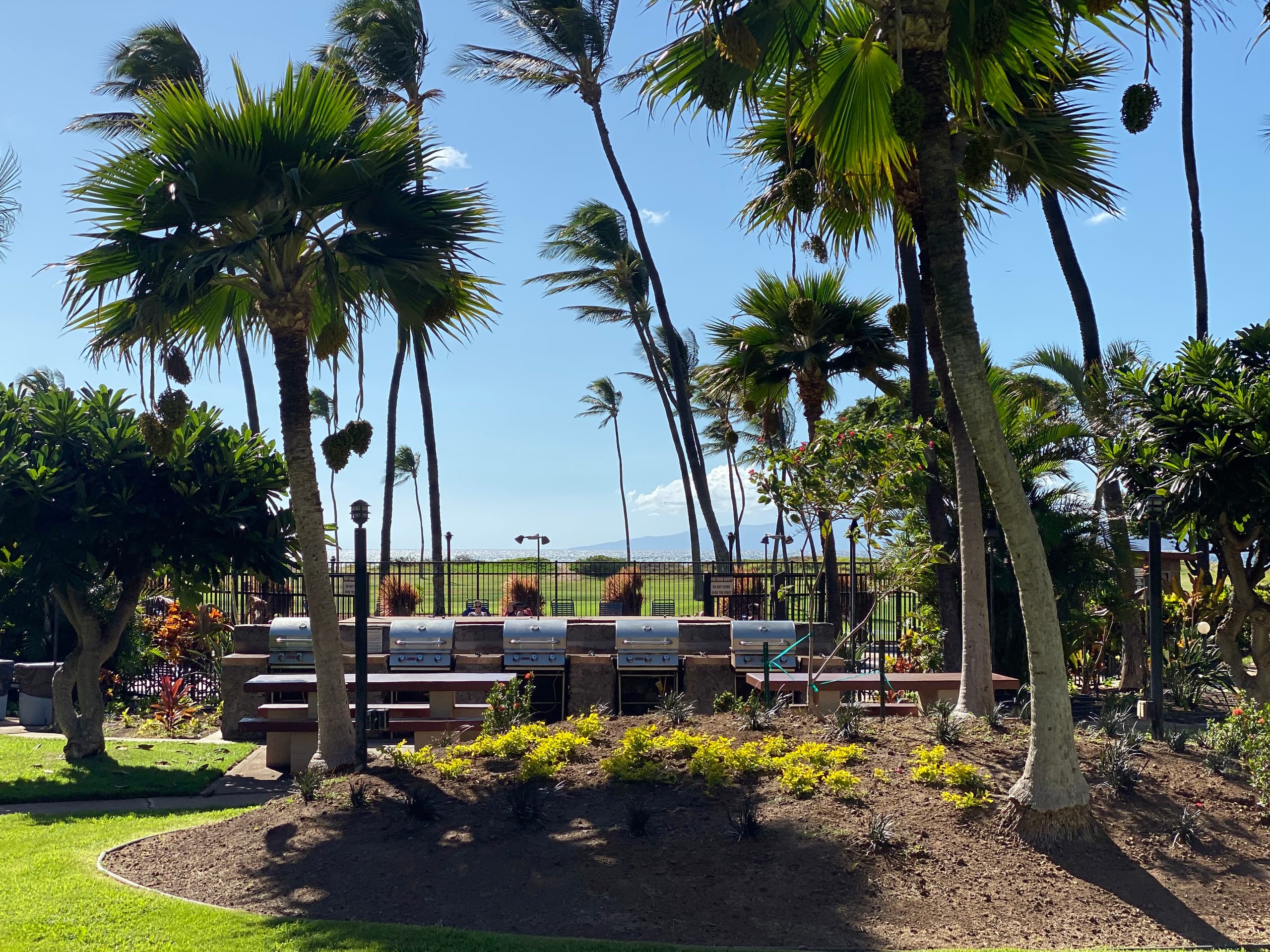Condo in Kihei · ★4.82 · Studio · 1 bed · 1 private bath - Image 23