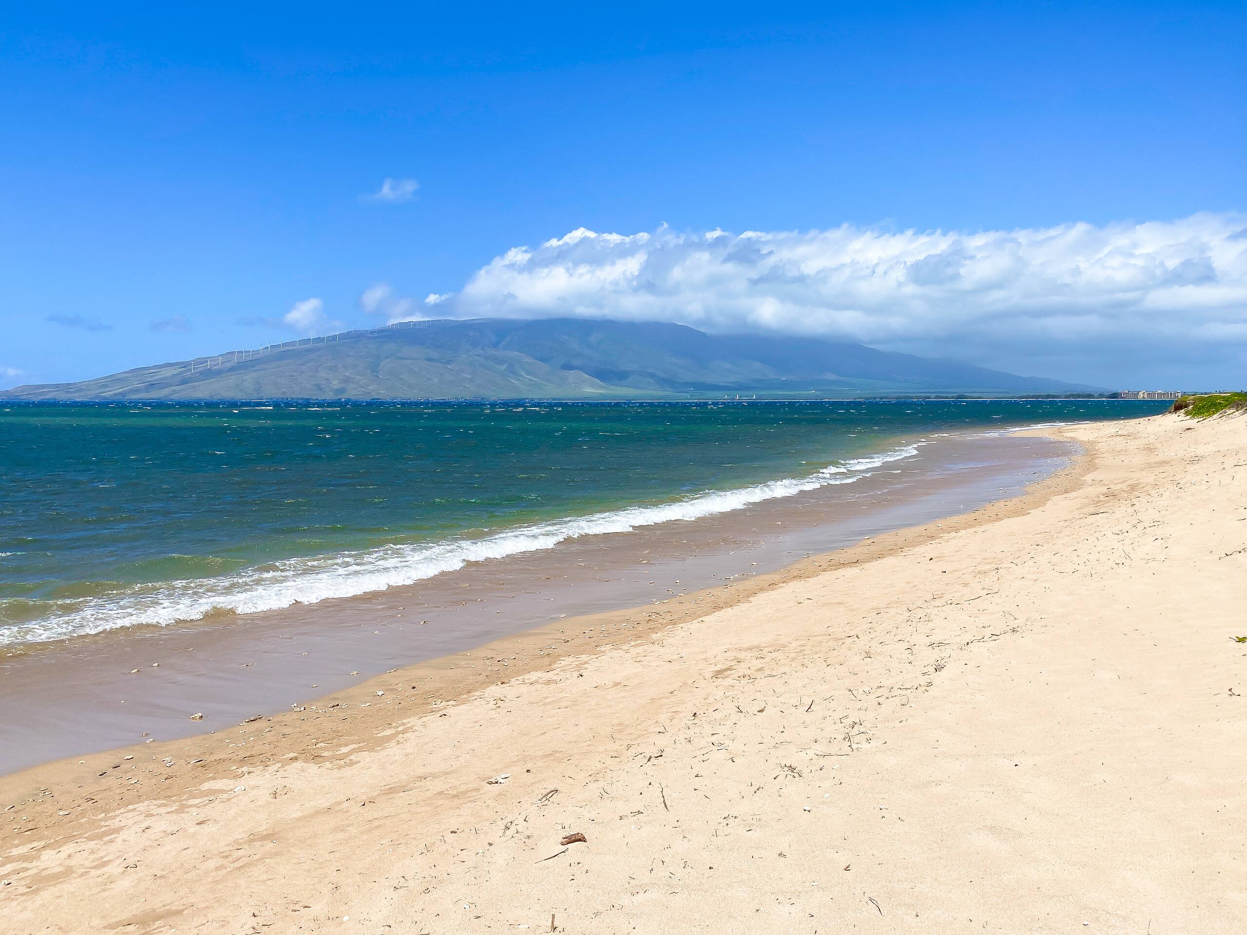 Condo in Kihei · ★4.82 · Studio · 1 bed · 1 private bath - Image 34
