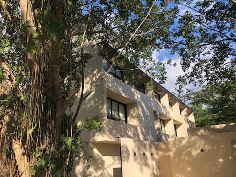 Successful Airbnb property: Live North Merida in comfort in San Antonio Cucul