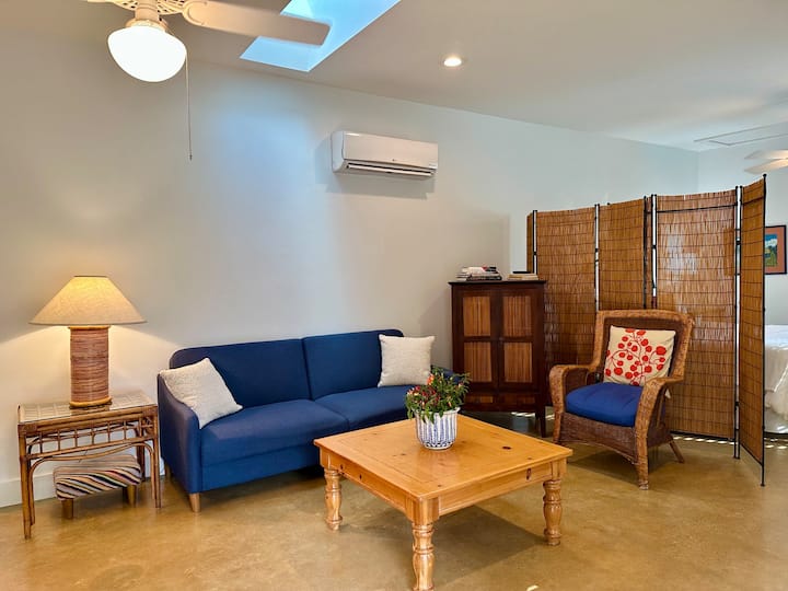 Walkable Central Austin Cottage - Austin, TX