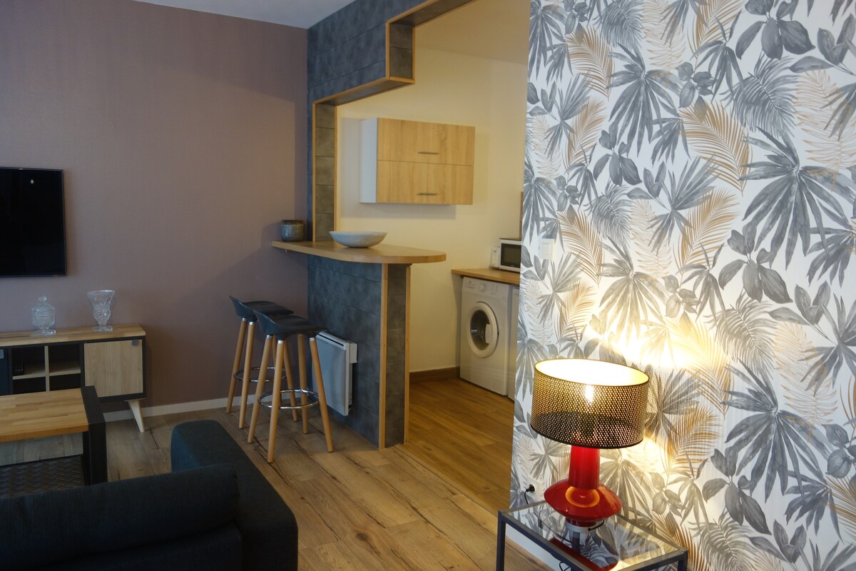 Successful Airbnb property: Luxury 2-room apartment in the city center, 400 m from the train station. in Angers
