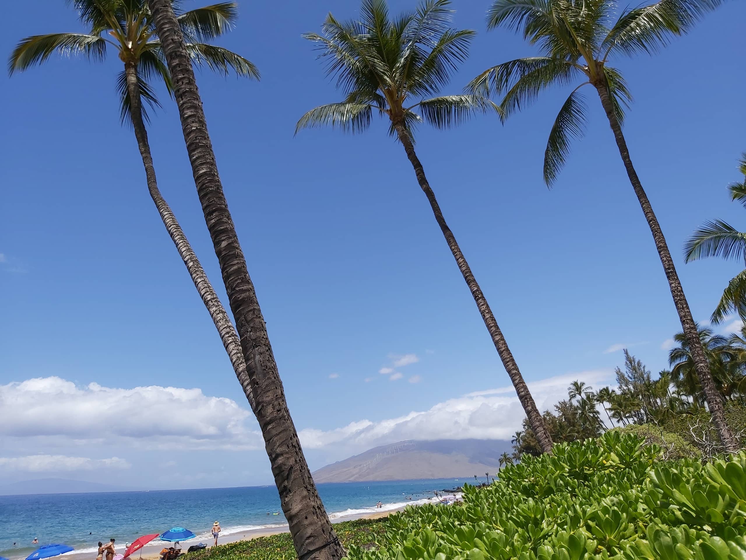 Condo in Kihei · ★4.98 · 2 bedrooms · 3 beds · 2 private baths - Image 27