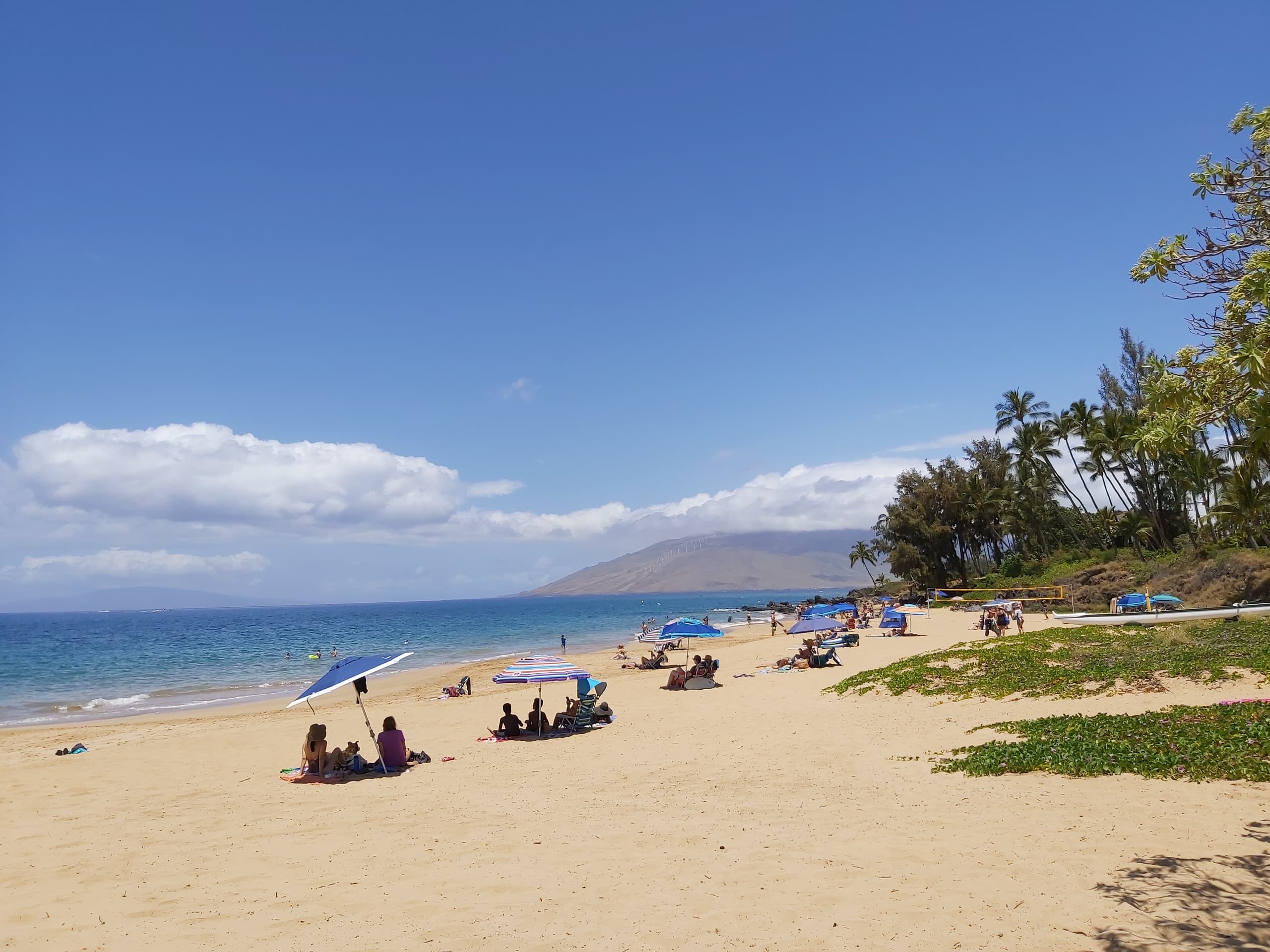 Condo in Kihei · ★4.98 · 2 bedrooms · 3 beds · 2 private baths - Image 25