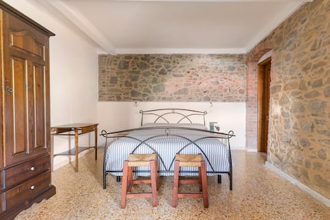 Stone house in the vineyards of Candia in Tuscany