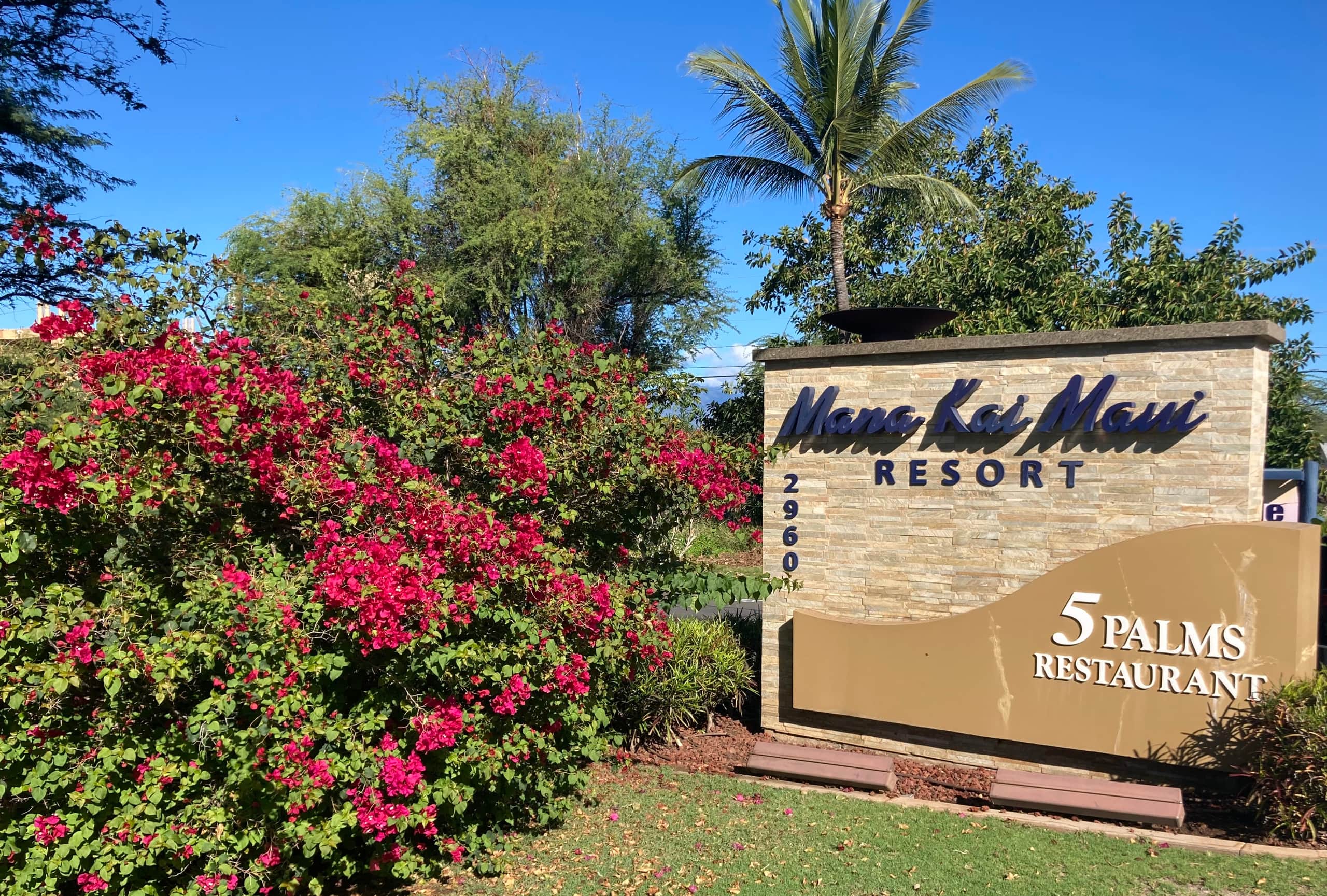 Condo in Kihei · ★4.92 · 2 bedrooms · 3 beds · 2 baths - Image 47