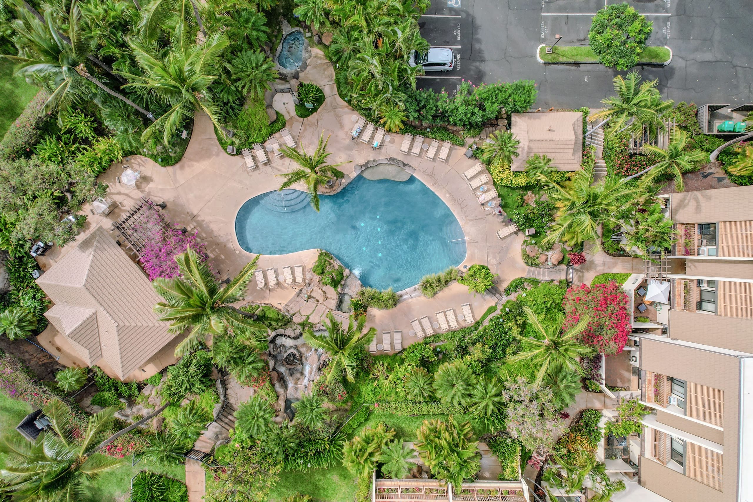 Condo in Kihei · ★4.82 · 1 bedroom · 2 beds · 2 baths - Image 47