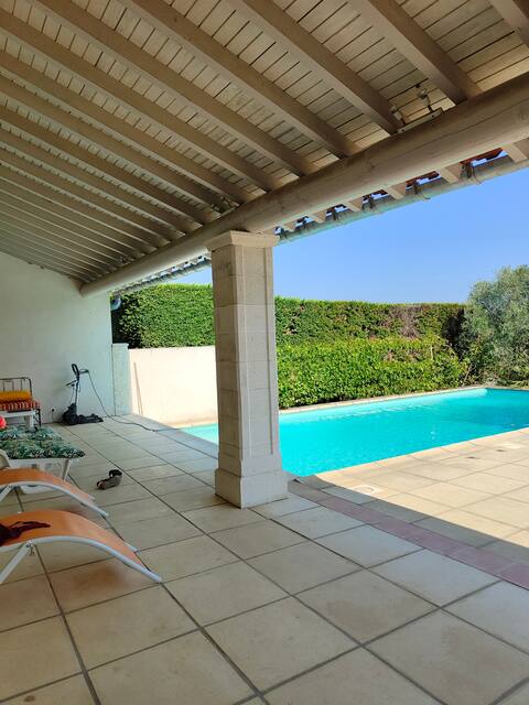 Villa with pool surrounded by olive trees