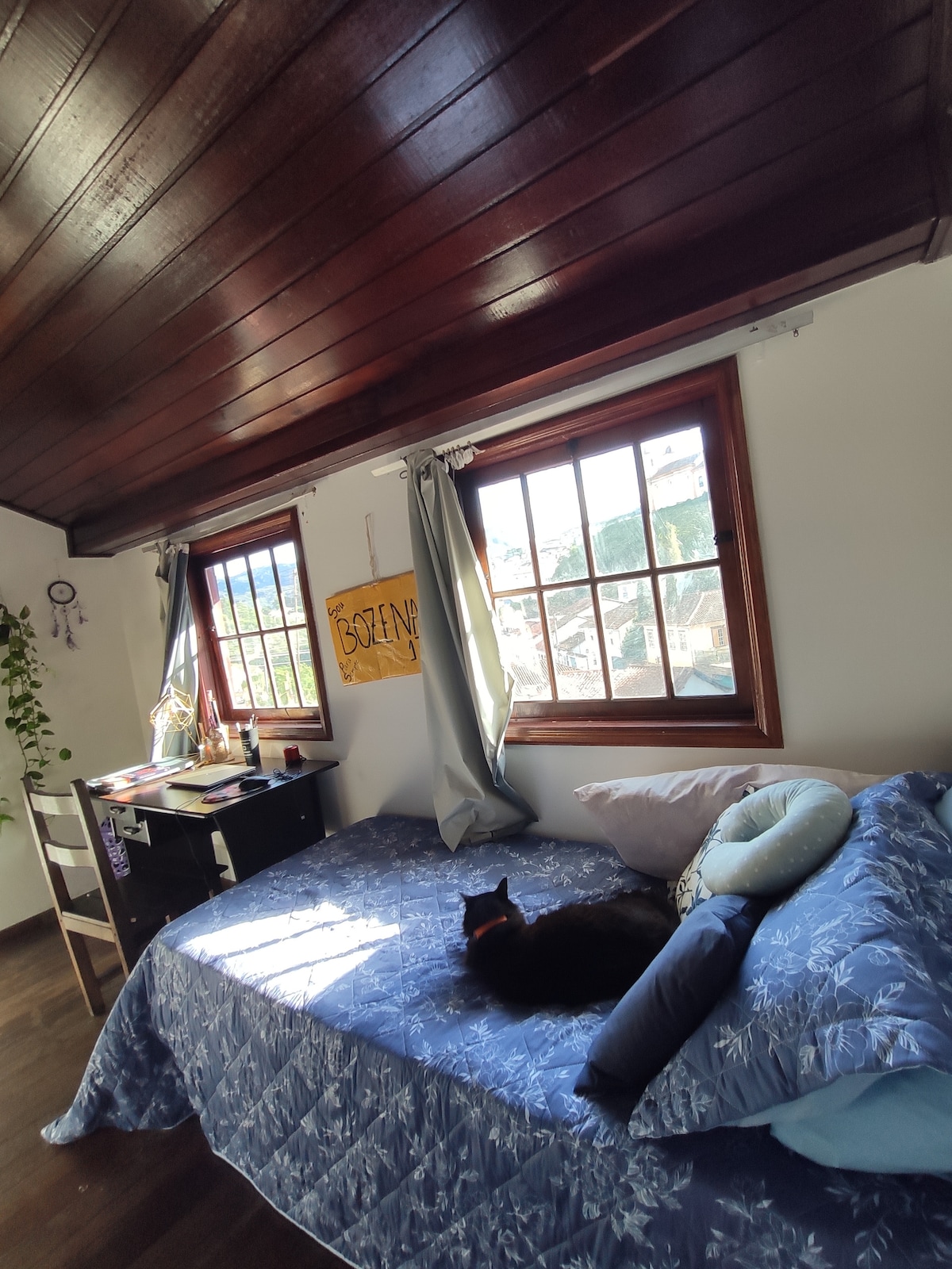 A spacious room features wooden ceilings and two windows that provide ample natural light. A single bed is dressed with a blue floral cover and several pillows. A desk with a chair is positioned nearby, and a black cat is resting on the bed.