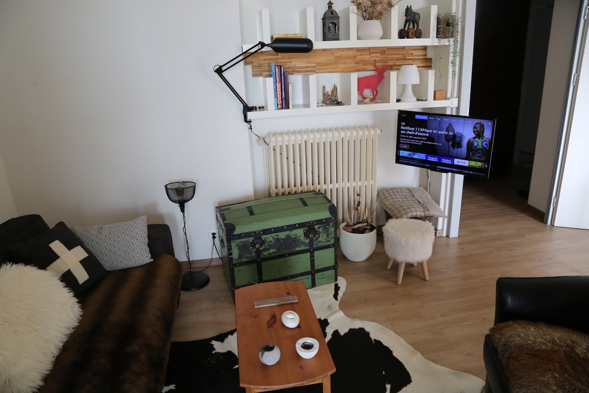 Top performing Airbnb: Charming apartment with breathtaking view in Leysin