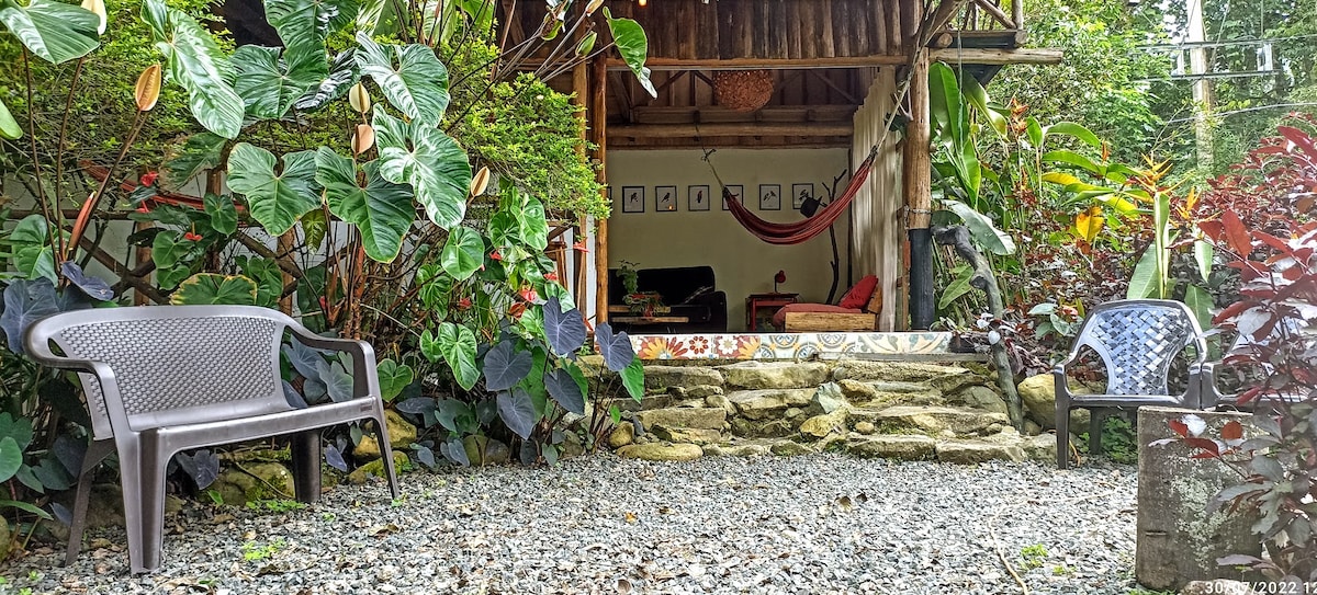 A serene outdoor space features two simple chairs flanking a stone pathway, leading to the entrance of the cabin. Lush tropical plants and vibrant foliage surround the area, creating a tranquil atmosphere. A hammock can be seen beyond, inviting relaxation amidst nature.