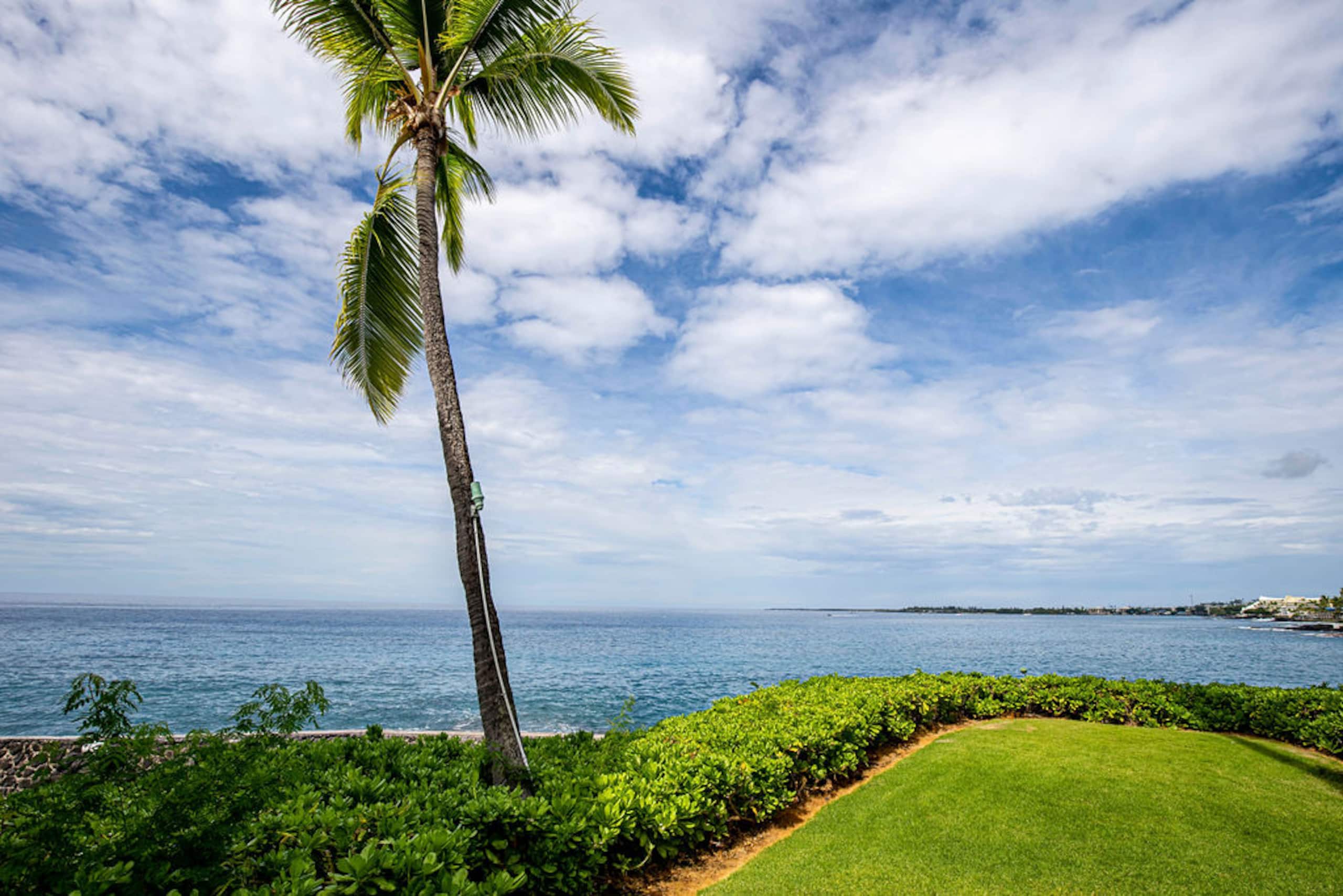 Condo in Kailua-Kona · ★4.95 · 1 bedroom · 1 bed · 1 bath - Image 24