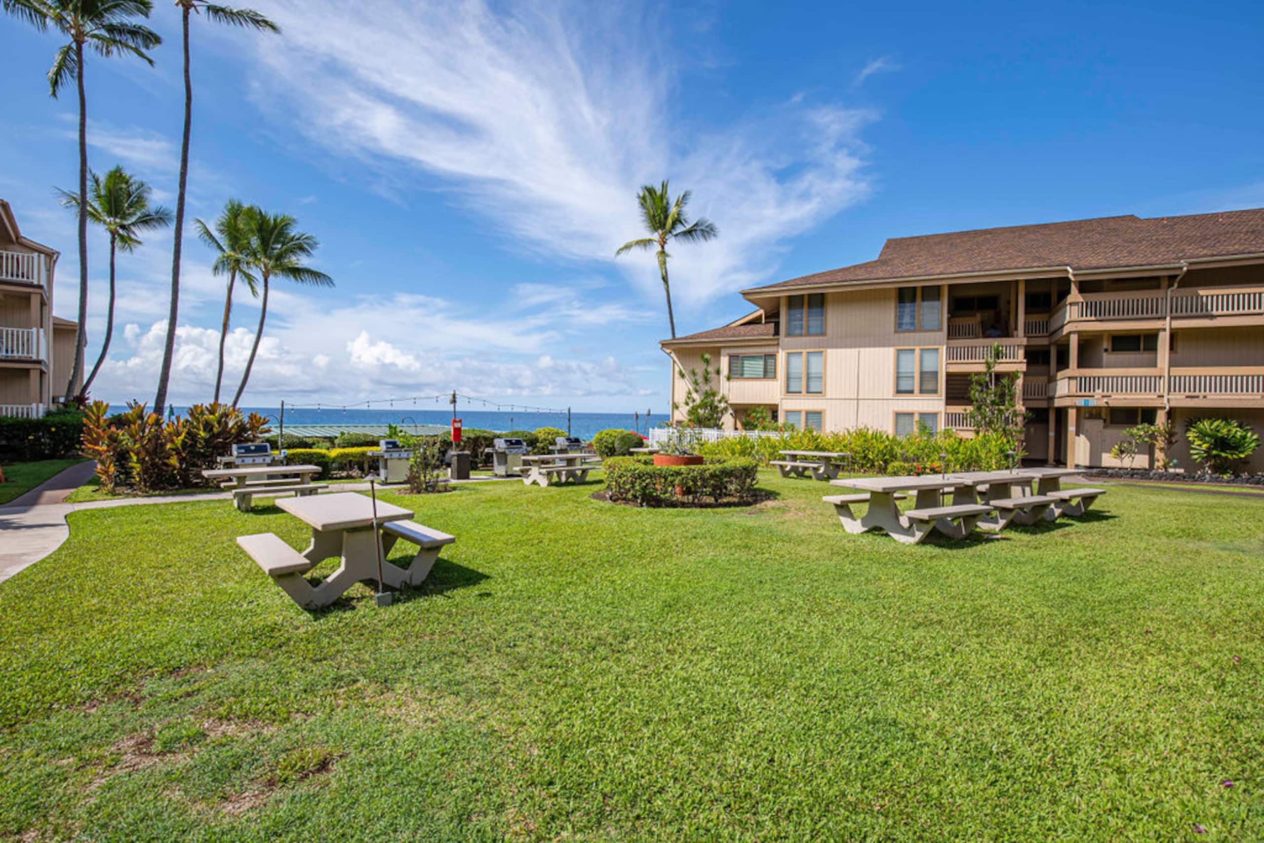 Condo in Kailua-Kona · ★4.95 · 1 bedroom · 1 bed · 1 bath - Image 36