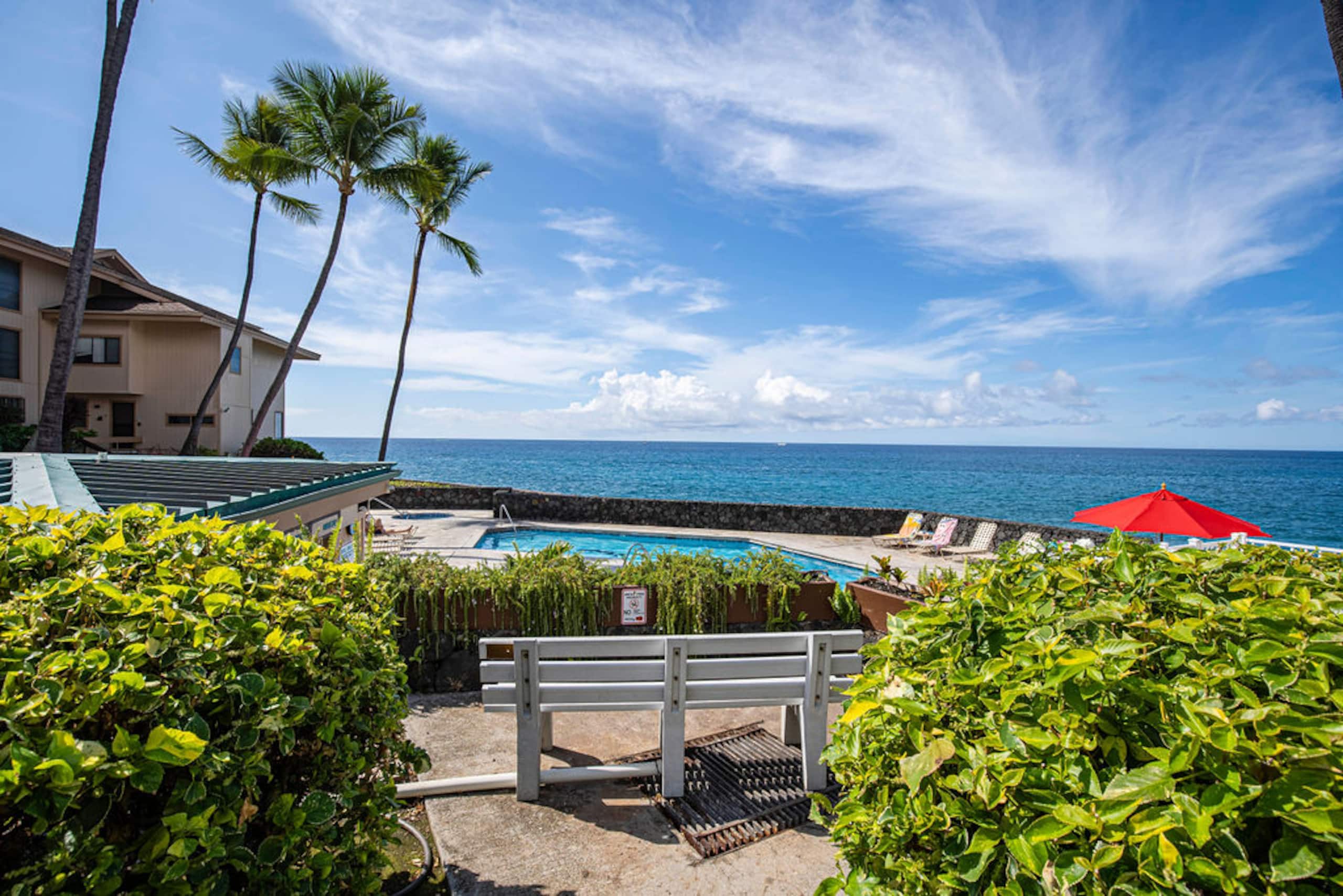 Condo in Kailua-Kona · ★4.95 · 1 bedroom · 1 bed · 1 bath - Image 38