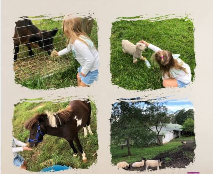 Agnes Banks Vacation Rentals & Homes New South Wales, Australia Airbnb