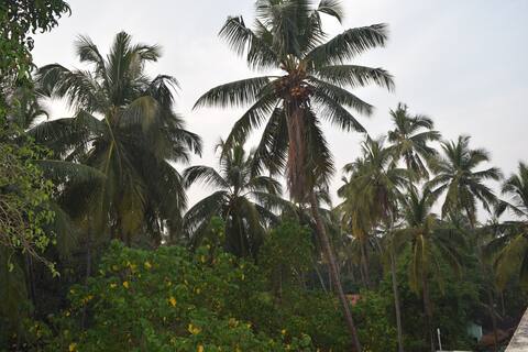 New Listing| A/N-2BHK Apartment| North Goa Anjuna