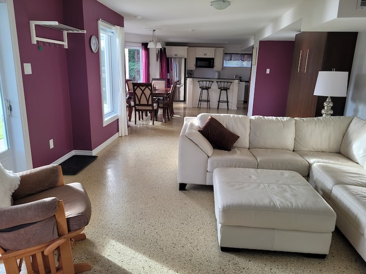 Appartement Sur Le Bord De La Rivière St-maurice - Shawinigan