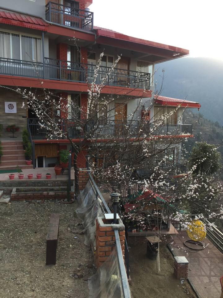 Ramgarh Ferienwohnungen Unterkunfte Uttarakhand Indien Airbnb Ramgarh Ferienwohnungen Unterkunfte Uttarakhand Indien Airbnb