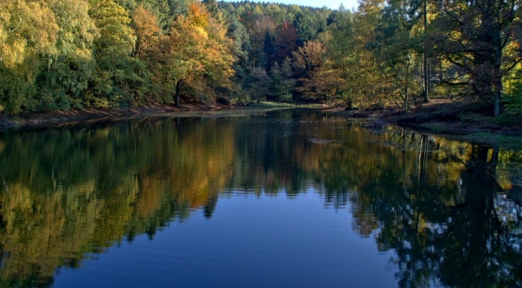 A serene lake is surrounded by lush trees displaying autumn foliage in shades of yellow, orange, and green. The still water reflects the vibrant colors of the trees, creating a tranquil and picturesque landscape.