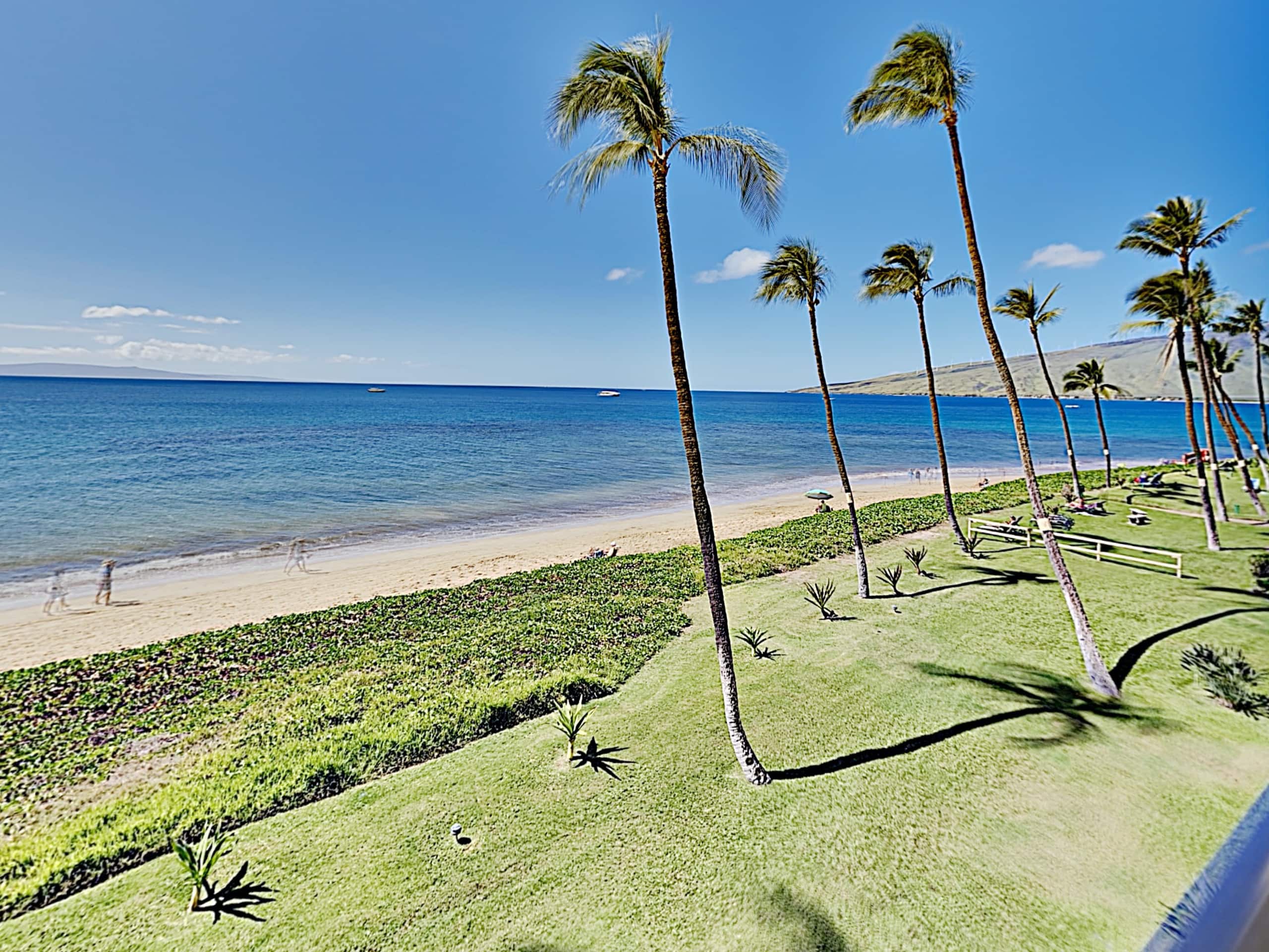 Condo in Kihei · ★4.93 · 1 bedroom · 1 bed · 1 bath - Image 21