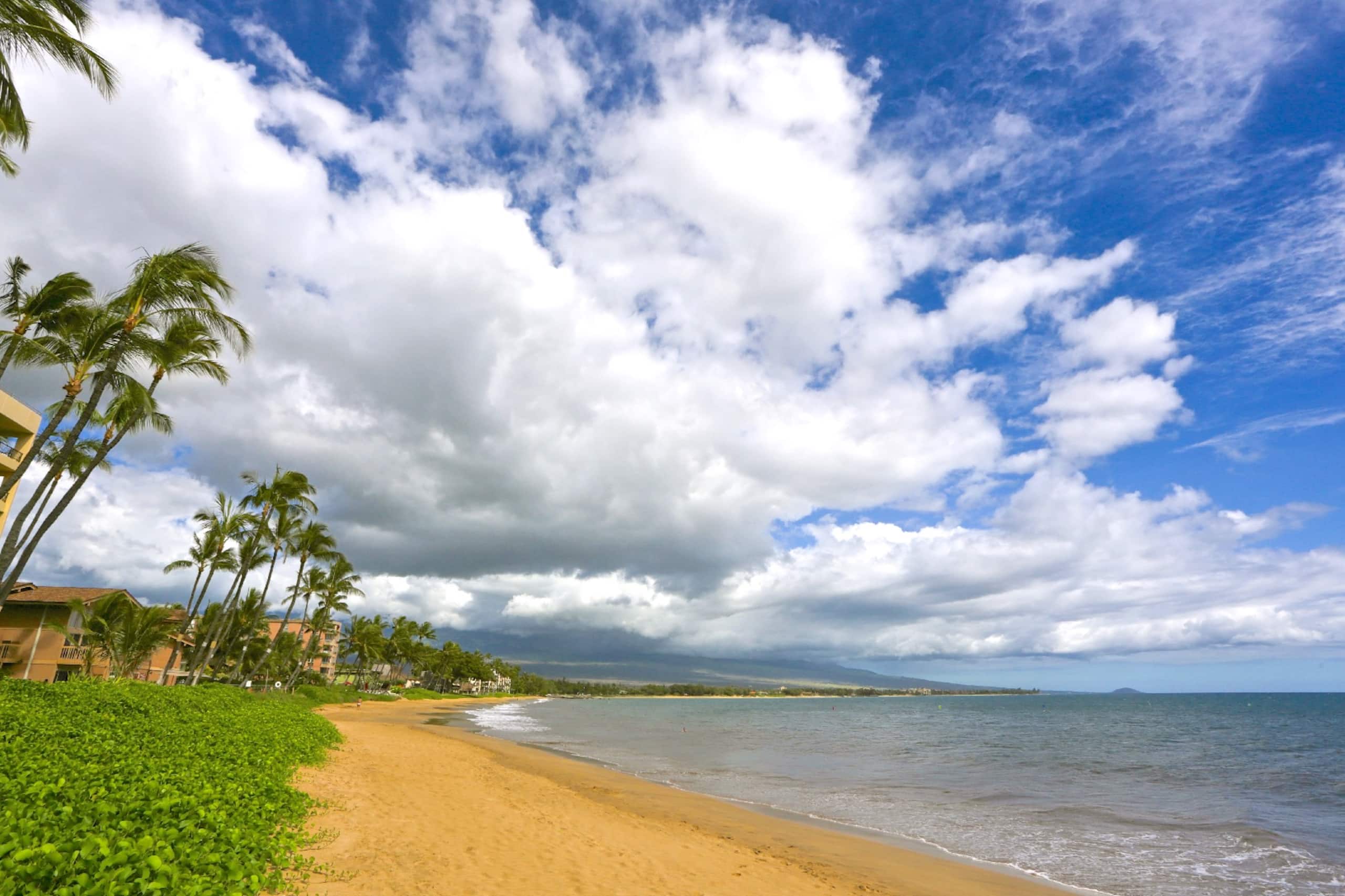 Condo in Kihei · ★4.93 · 1 bedroom · 1 bed · 1 bath - Image 23