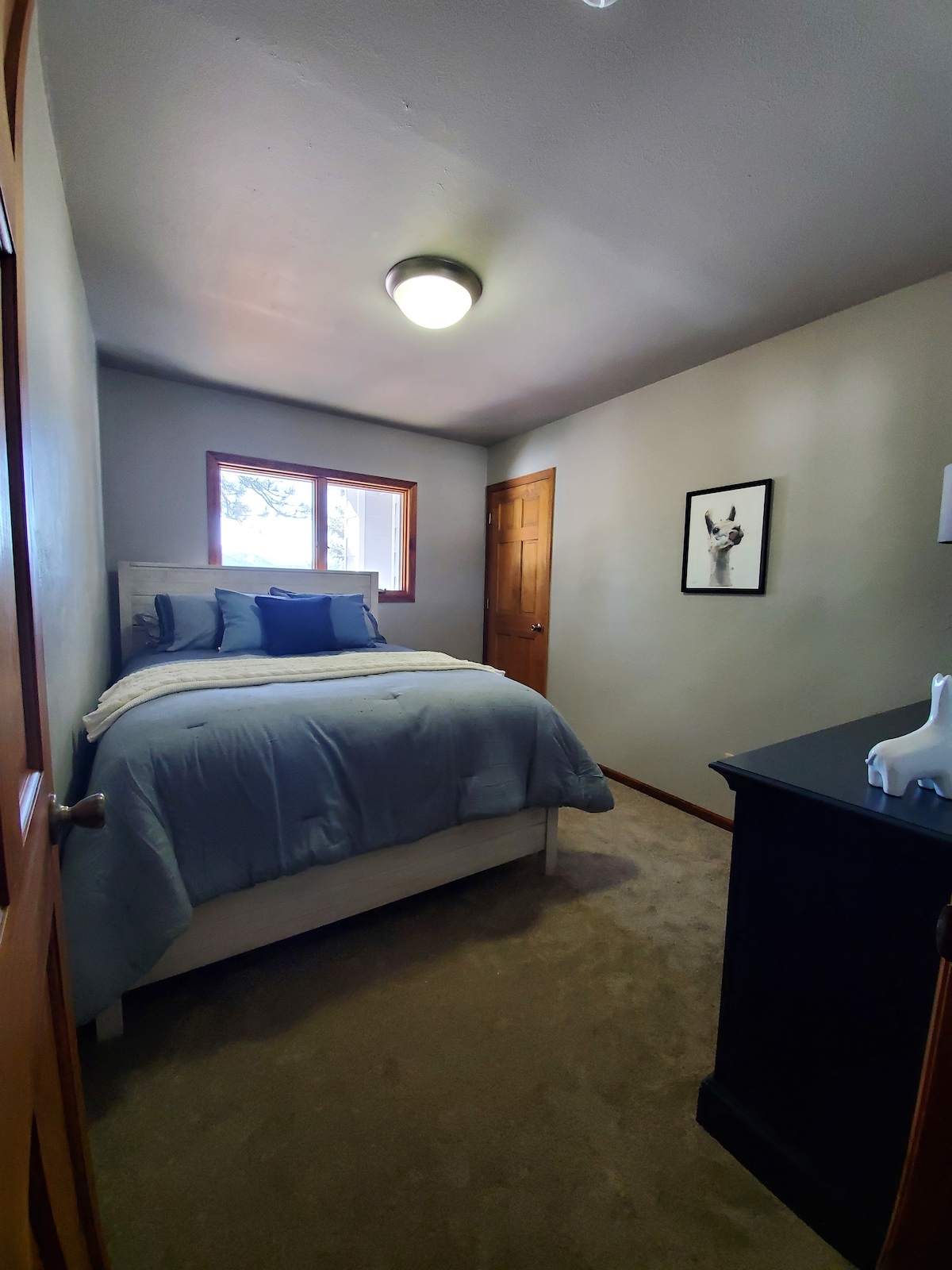 ห้องนอนลามะ - มีเตียงควีนไซส์ (เราชอบลามะ)   มีการเพิ่มเฉดสีดำใหม่ในเดือนกันยายน 2021