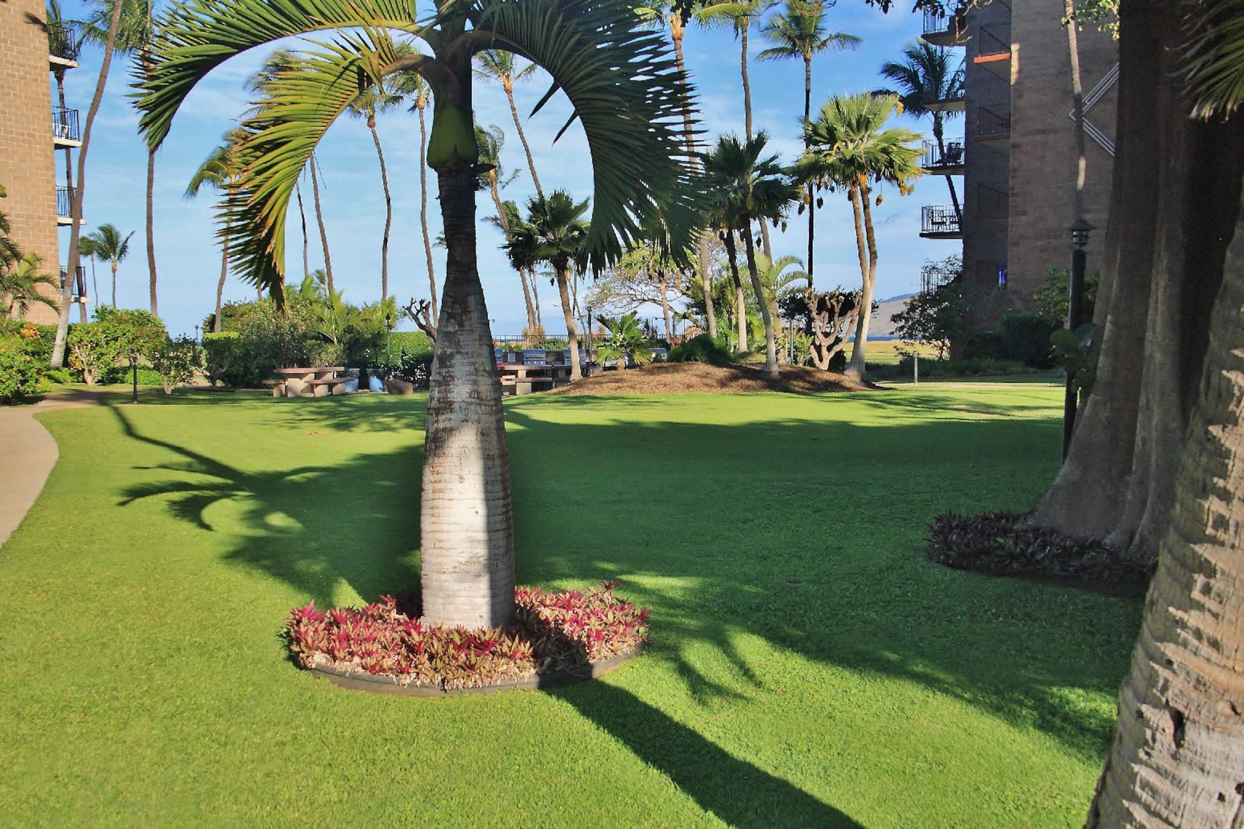 Condo in Kihei · ★4.86 · 1 bedroom · 1 bed · 1 bath - Image 26