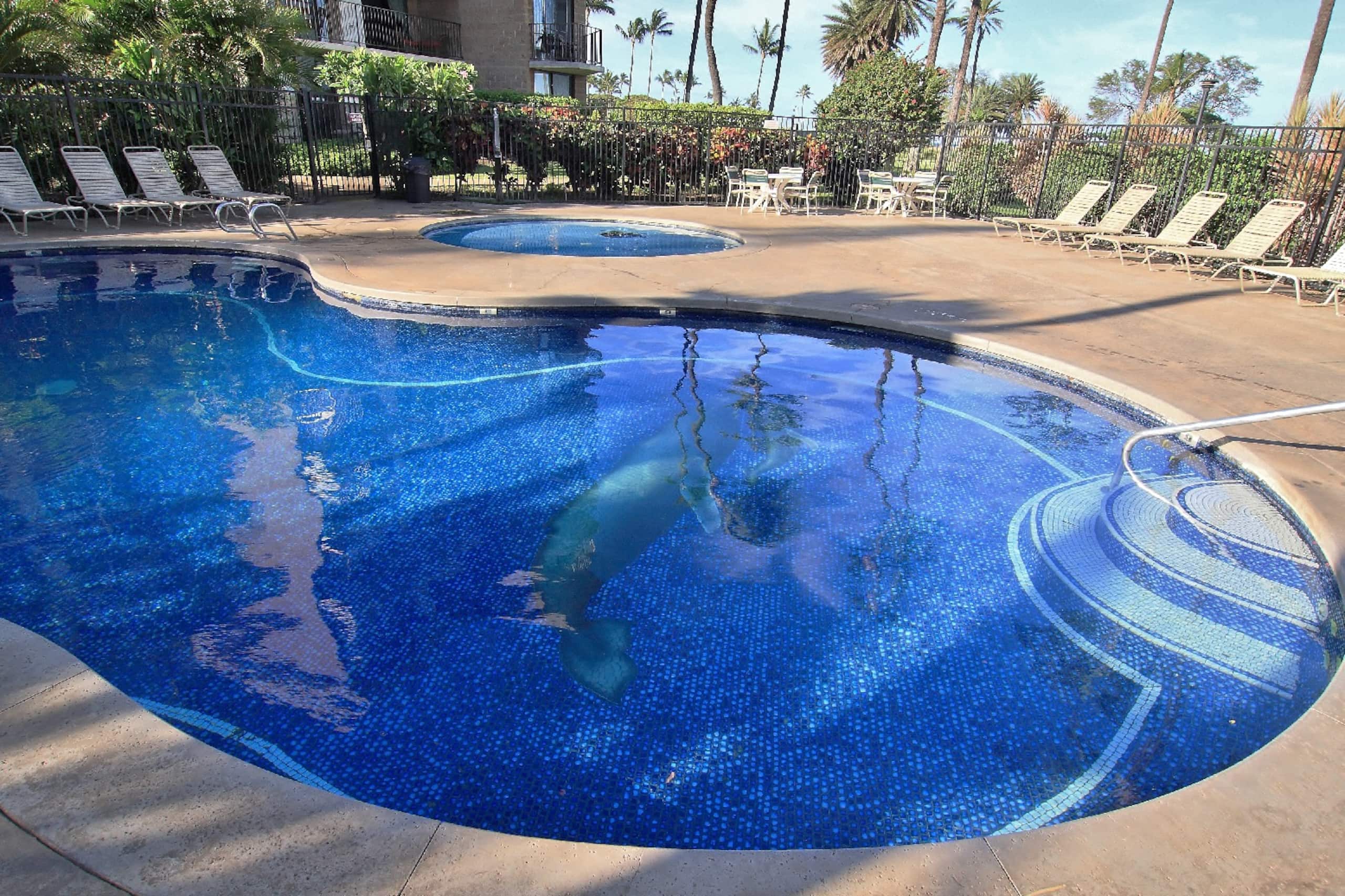 Condo in Kihei · ★4.86 · 1 bedroom · 1 bed · 1 bath - Image 29