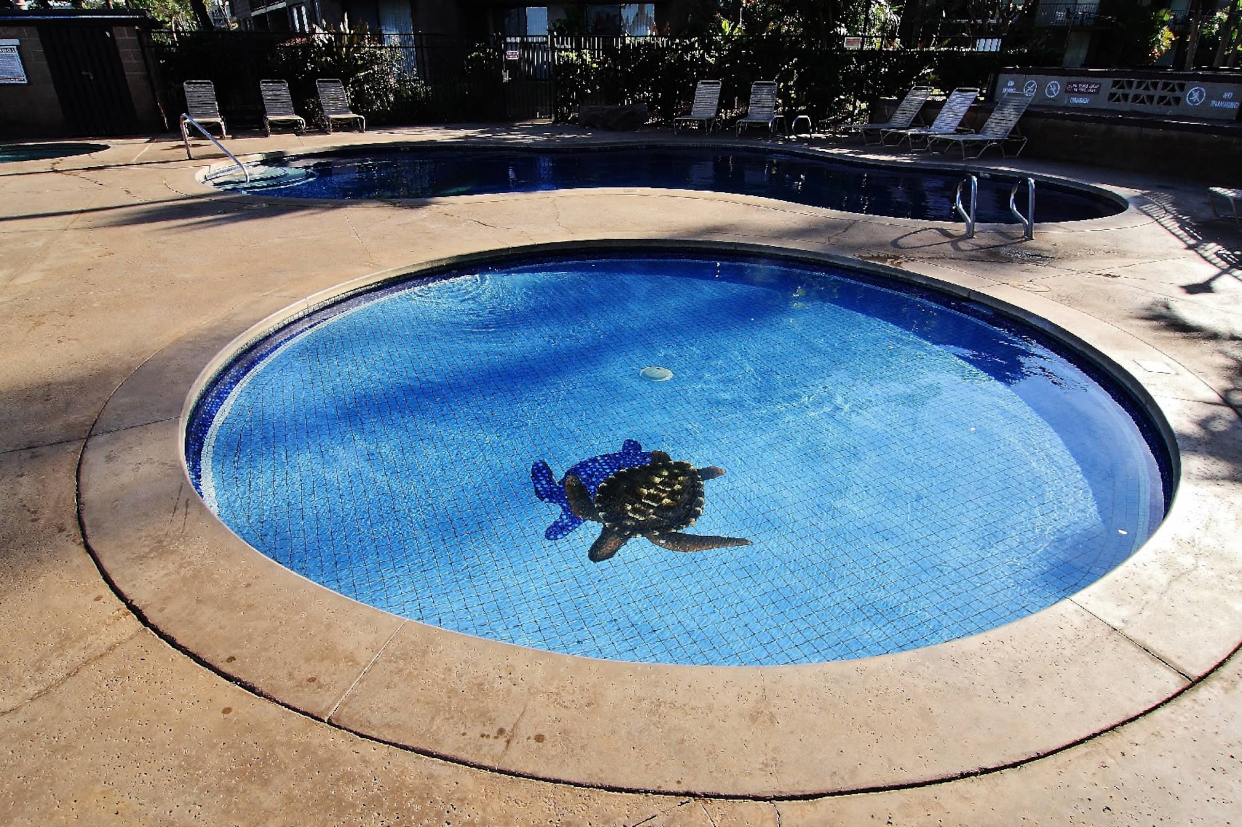 Condo in Kihei · ★4.86 · 1 bedroom · 1 bed · 1 bath - Image 31